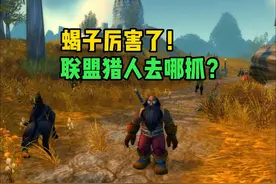 联盟猎人去哪抓蝎子 魔兽世界plus教程视频封面