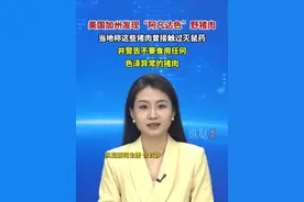 8月5日，据《洛杉矶时报》报道，美国加州蒙特利县一野生动物控制公司为客户捕获数百头野猪，当他们切开其中一头时，该野猪肉质呈蓝色，酷似“阿凡达”。