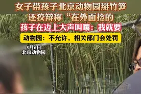 女子带孩子在北京动物园掰竹笋还狡辩称“在外面捡的”，孩子在边上大声叫嚷:我就要，动物园:不允许，相关部门会处罚（杉）#北京动物园 #熊猫 #竹笋 #熊孩子视频封面