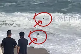 白衣小哥勇救落海游客母女俩，孩子母亲讲述惊险救人过程，“自己当时快死掉了 感谢救命恩人” #海南  #女孩被浪卷走众人合力营救  #获救女孩母亲感谢救命恩人  #正能量视频封面