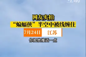 网友实拍，苏州吴江区空中，惊现一只蝙蝠被一根线吊着，热心网友报警，警方正在现场察看视频封面