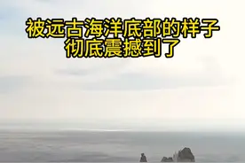 太震撼了，千万不要眨眼  一起来感受远古海洋底部带来的压迫感！#旅行大玩家 #内容启发搜索 #大自然的鬼斧神工视频封面