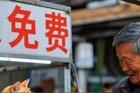 橘猫出摊卖烧饼咯 #猫咪摆摊 #猫咪的迷惑行为视频封面