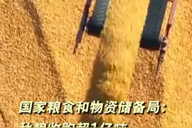 国家粮食和物资储备局：秋粮收购超一亿吨，收购进度过半视频封面