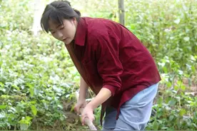 昨日下雨降温，今天羊肚菌下菌种。 很庆幸，这片生养我的土地又给了我创业的机会#我的乡村生活 #羊肚菌 #三农视频封面
