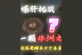 爆肝挑战摸？？鸟蛋出一颗非洲之心【赛博探店】  #蔡志伟