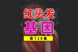 红头发源自哪里？红发基因是什么？ #红发 #基因 #遗传 #欧洲视频封面