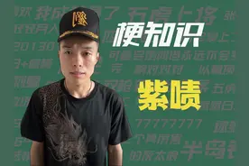 【梗知识】紫啧 #梗 #紫啧 #川子