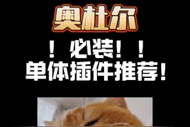 【奥杜尔】必装单体插件推荐！ #魔兽 #魔兽世界 #魔兽世界怀旧服 #奥杜尔 #魔兽世界插件视频封面