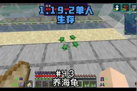 养海龟-1.19.2单人生存#我的世界 #我的世界大佬俱乐部视频封面
