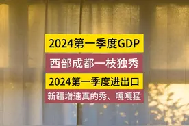 2024年第一季度GDP，成都“西部秀”；进出口，新疆嘎嘎猛 #河南视频封面