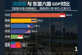 河南省与东盟六国GDP对比，河南发展速度！ #排行 
 #数据可视化视频封面