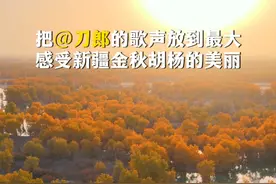 把@刀郎的歌声放到最大，感受新疆金秋胡杨的美丽！ #大漠胡杨林美景 #刀郎视频封面