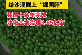 给沙漠戴上“绿围脖”！我国十余年完成沙化土地治理3.65亿亩 #防沙治沙 #三北工程 #世界防治荒漠化与干旱日