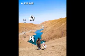 带狗狗到云南曲靖！去这些地方打卡太绝了！ #带着狗狗去旅行视频封面