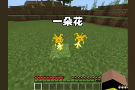 我的世界:老梗百出一朵花一棵树！ #我的世界