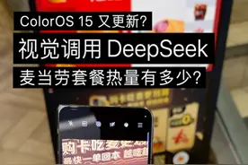 DeepSeek首次支持手机视觉识别，直接问麦当劳套餐热量？ #oppofindn5#coloros15 #DeepSeek视频封面