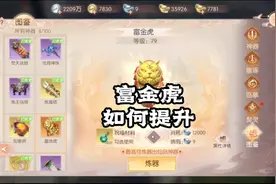 神器富金虎该如何提升？#手游攻略 #完美世界