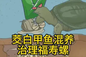 茭白甲鱼混养治理福寿螺 #原创动画 #三农流量扶持计划 #轻漫计划 #有趣的知识又增长了 #万物皆可达视频封面