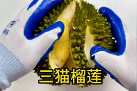 试吃三猫兄弟猫山王榴莲：据说是马来西亚树熟的，甜的过分了！视频封面