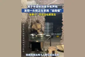 男子半夜听到家中有声响，发现一头熊正在享用“自助餐”视频封面