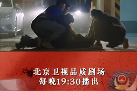 国安局全方位布控，成功抓获嫌犯。#北京卫视真心英雄#佟丽娅视频封面