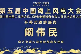 CWPE2020：南方电网公司创新部高级经理阚伟民先生作开幕式致辞视频封面