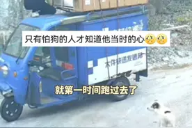 快递小哥来送快递，狗狗开心出来迎接，#没想到 小哥因为怕狗迅速爬上车顶不停呼喊，  “我们开始都在调试音响没听到，后来看到监控里小哥挺#无奈 ，又有点#搞笑 ！”（视频来源：视频来源：@篮球老诗人 ）视频封面