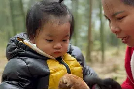 农村小伙带着一家人去挖竹笋，他们的欢声笑语弥漫了春日的竹林。#新农人计划2025  #尝一口春天的味道 #乡村春日地图 #来一口乡间春分的味道视频封面