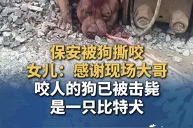 湖南一保安被狗扑倒撕咬，女儿:感谢现场持棍驱赶狗的男子，“父亲倒垃圾时，狗从50米外冲过来撕咬，是一只比特犬(烈性犬)，现场已被击毙，狗主人称知道自家狗经常跑出来 #湖南  #郴州  #保安  #狗 #比特犬