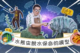 会脱水的“水熊虫”就在我们身边？快去你家花盆挖挖看！视频封面