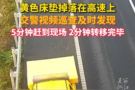 #货物掉落高速交警火速寻回 ，驾驶员还不知道丢了货物就“失而复得”（供稿：台州交警）视频封面