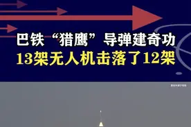 印度改用无人机群袭击，巴方“猎鹰”再建奇功，中国装备不同凡响 #抖音热评