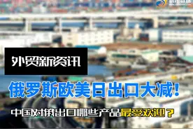俄罗斯欧美日出口大减！中国对俄出口哪些产品受欢迎？视频封面