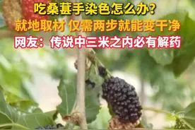吃桑葚手染色？#就地取材仅需两步把手“洗”干净  ！视频封面