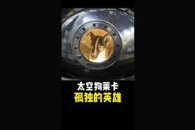 太空英雄狗狗莱卡的感人故事，第一个进入太空的地球生物，为人类航天事业奠定了坚实基础！#探索宇宙 #太空狗莱卡 #航空航天 #璀璨科学星 视频封面