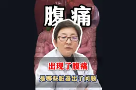 出现了腹痛，是哪些脏器出了问题 #腹痛的不同位置 #腹痛九宫格 #腹痛 #消化内科张树新 #胃肠镜专家