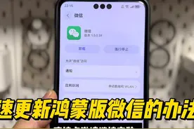 一步更新和安装最新鸿蒙版微信app的办法 直接点邀请链接安装即可视频封面