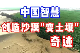 中国智慧：创造沙漠“变土壤”奇迹 #沙漠土壤化 #沙漠生态视频封面