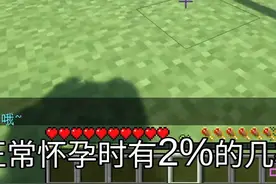 我在MC中添加了宫外孕！ 模组在主页#我的世界#我的世界minecraft