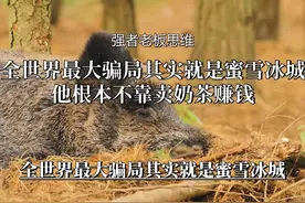 低价爆品如何颠覆市场？蜜雪冰城的致胜之道！#商业思维视频封面