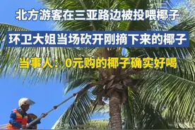 北方游客在三亚路边被投喂椰子，环卫大姐当场砍开刚摘下来的椰子，当事人：0元购的椰子确实好喝