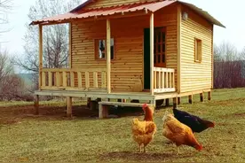 大叔找到一处风水宝地，使出毕生绝学建造木屋，足以抵御狂风暴雨