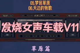 极致Hi-Res磁性发烧女声车载试音V11 (呼伦贝尔大草原+漂泊的思念+故乡的牧羊人+陪你一起看草原+梦回草原+天边的牧歌)@DOU+小助手 #dj阿超 #王思雨 #车载音乐 #草原歌曲 #草原视频封面