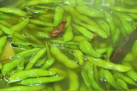 家常菜-水煮毛豆，精彩美食持续更新~#美食 #美食教程 @抖音短视频 视频封面