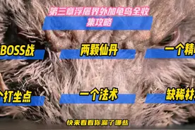 【黑神话悟空】第三章浮屠界外+龟岛全收集攻略 #法师戴戴