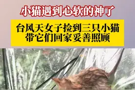 小猫遇到心软的神了！9月16日，上海，台风天女子捡到三只小猫，带它们回家妥善照顾。#台风天小猫遇到心软的神了