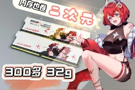 内存也卷二次元？三百出头的玖合星舞到底行不行？CJR颗粒超频视频封面
