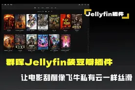 群晖Jellyfin装豆瓣插件，让电影刮削像飞牛私有云丝滑视频封面