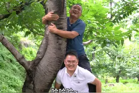 蝉蜕的价格十分美丽，超爸喊上二娃一起去山上捡，准备挣点零花钱视频封面